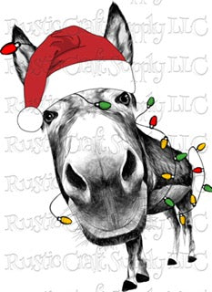 RCS Transfer 017 - Christmas Donkey