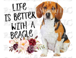 RCS Transfer 251 - Life is better with a Beagle