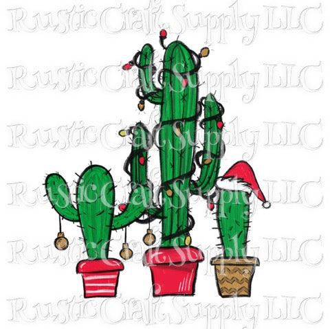 RCS Transfer 124 - Christmas Cactus