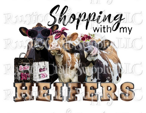 RCS Transfer 133 - Shopping with my Heifers