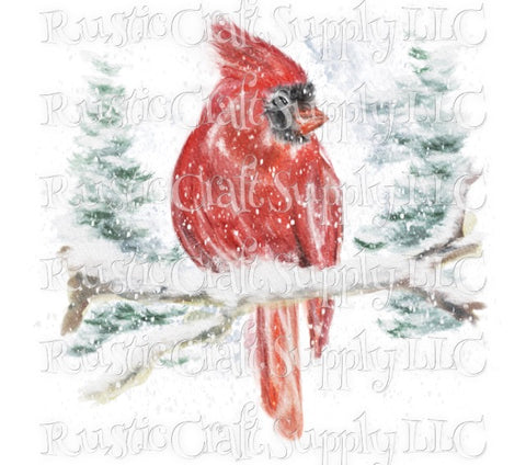 RCS Transfer 131 - Watercolor Red Cardinal