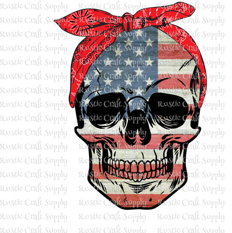 RCS Transfer 1303 - Skull with American Flag
