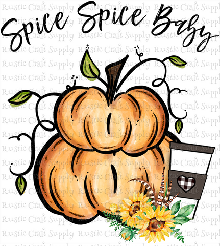 RCS Transfer 1687 - Spice Spice Baby Pumpkins