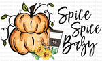 RCS Transfer 1688 - Spice Spice Baby Pumpkins