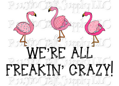 RCS Transfer 104 - We're All Freakin' Crazy Flamingos