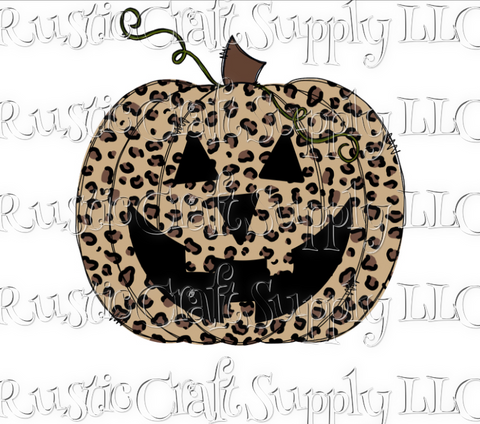 RCS Transfer 025 - Leopard Jack-o-lantern Pumpkin