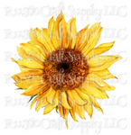RCS Transfer 035 - Sunflower
